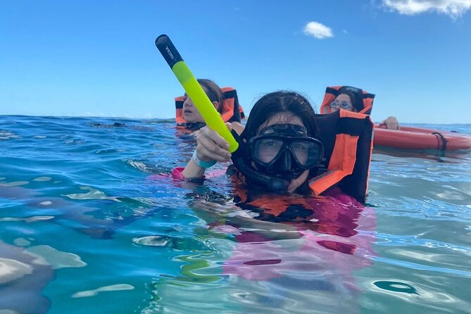 Holbox - Fishing & Snorkeling in Cabo Catoche with drinks & snack - Price and value: what $116.85 buys you
