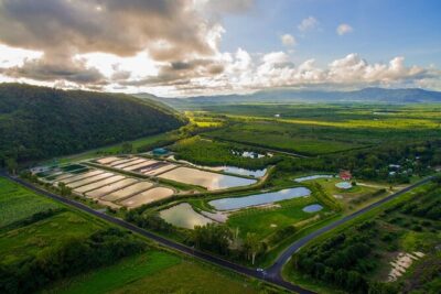 Hook-A-Barra Fishing and Farm Activity - Hands-On Moment: Feeding, Weight, and Health Checks