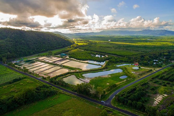 Hook A Barra Fishing Experience - Why Wonga Beach is the right base for barramundi fishing
