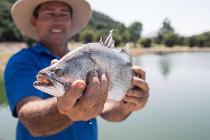 Hook A Barra Fishing Experience - Viewing tanks for watchers, kids, and non-fishers