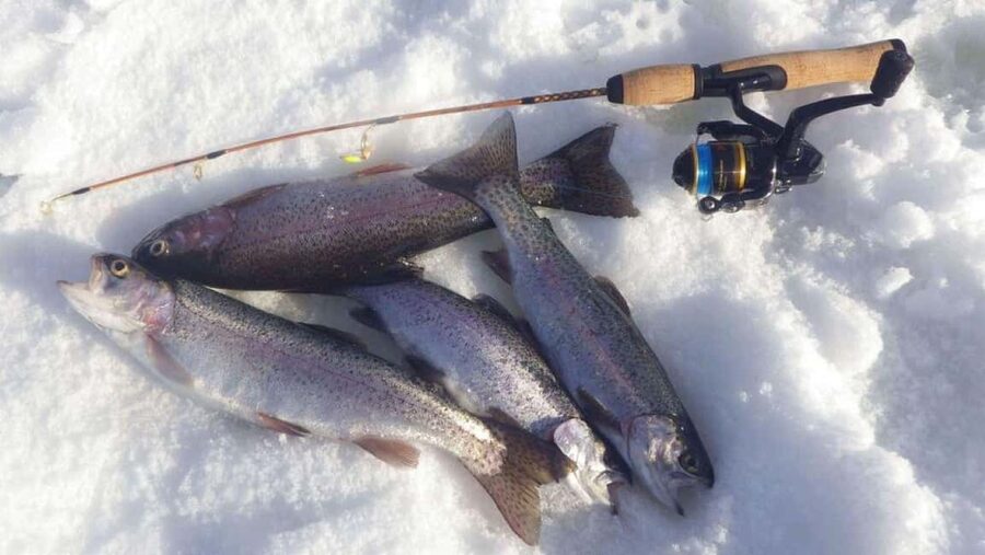 Ice Fishing Adventure in Levi with Salmon Soup - Warm Shelter, Hot Drinks, and Salmon Soup That Changes the Day