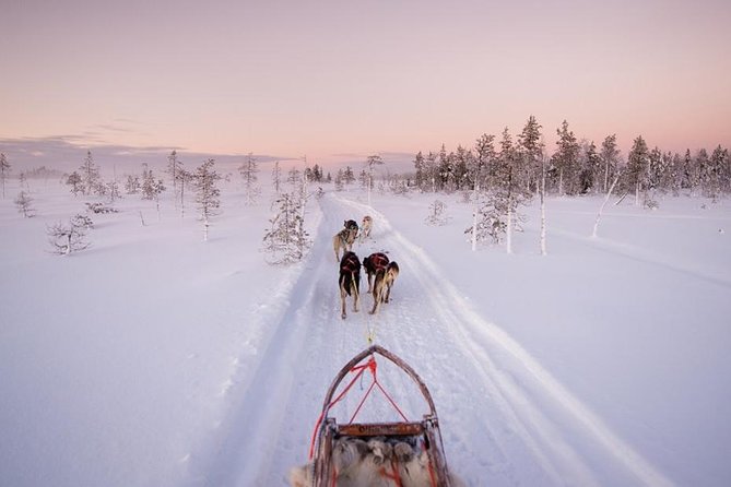 Ice Fishing and Husky - Key highlights worth knowing
