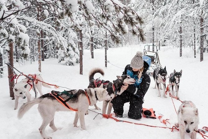 Ice Fishing and Husky - One Day, Two Arctic Icons: Huskies, Then Ice Fishing