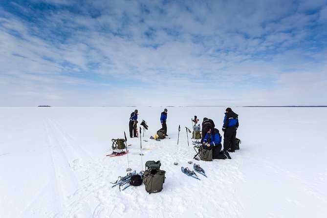 Ice Fishing and Husky - Husky farm time: meet the team, ride the snow, then get up close