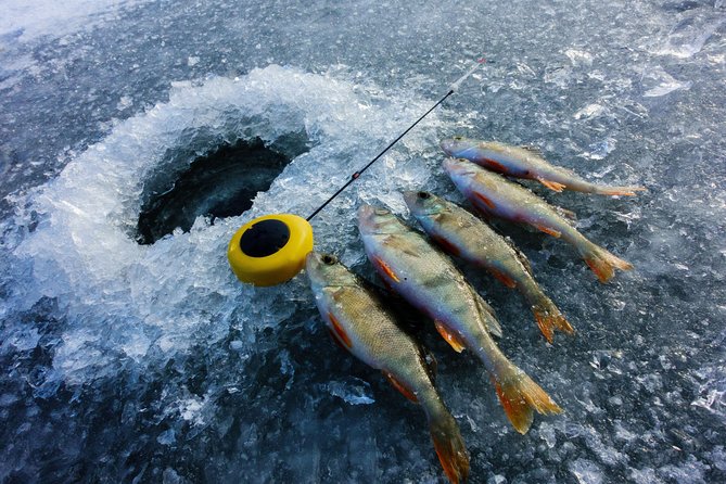Ice Fishing and Husky - Group size, language, and how it affects the vibe