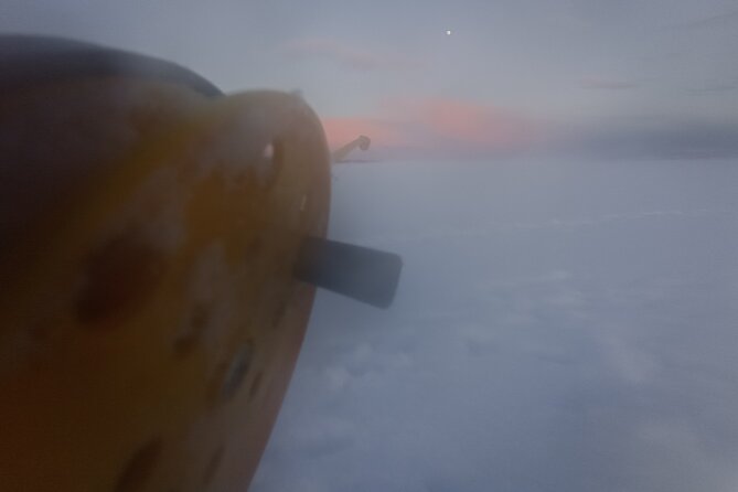 Ice fishing experience with Backpacker Helsinki Tour - What you’ll do on the ice: perch, pike, and pike-perch chances