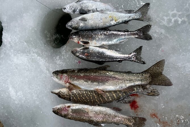 Ice Fishing in Fairbanks - Who should book this ice fishing experience?