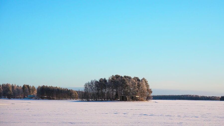 Ice fishing program in Lapland - The cozy fire break: salmon sandwich, berry juice, and birch-wood warmth