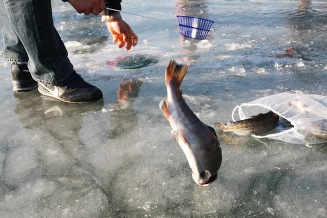 Ice Fishing Tour - Hwacheon Sancheoneo Ice Festival Day Trip from Seoul - Sledding, skating, and snow sliding: the part you will probably talk about later