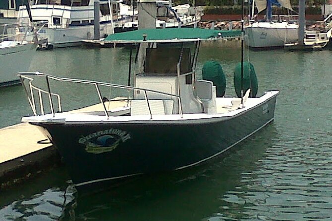 Inshore Fishing 4-Hour Puerto Vallarta Charter - Captain Scooby and mate Chicken: the real skill is teaching fast