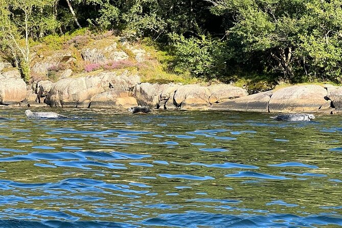 Inshore fishing in the Drangefjord - The guide makes or breaks it: Federico, Luca, and Antonio’s teaching style