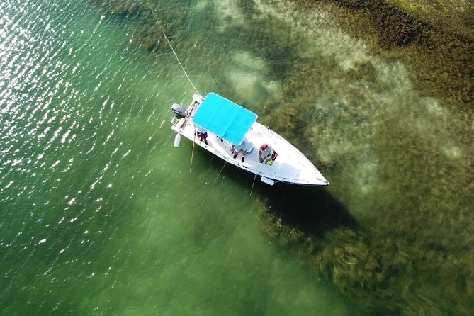 Inshore & Fly Fishing Punta Cana Private charter at Marina Cap Cana - Fishing the Shallow Reef from Marina Cap Cana