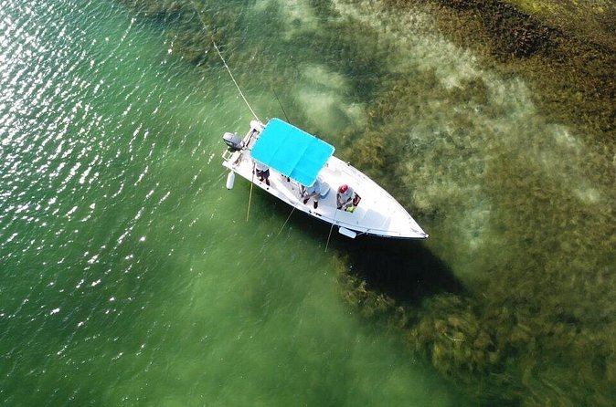 Inshore & Fly Fishing Punta Cana Private charter at Marina Cap Cana - Guide Support and Comfort: Ask Early, Adjust Fast