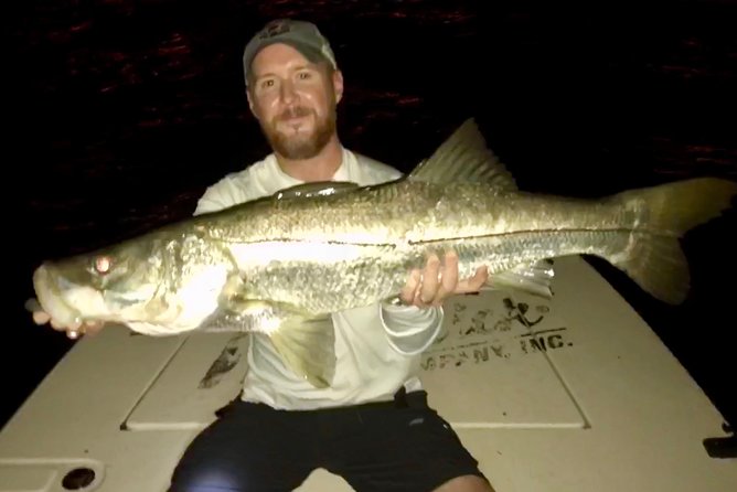 Inshore Sport Fishing with Local Guide - The 4-hour half-day flow: where you fish and how the day changes