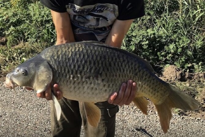 Introduction to fishing in Strasbourg - Key things to know before you wet a line