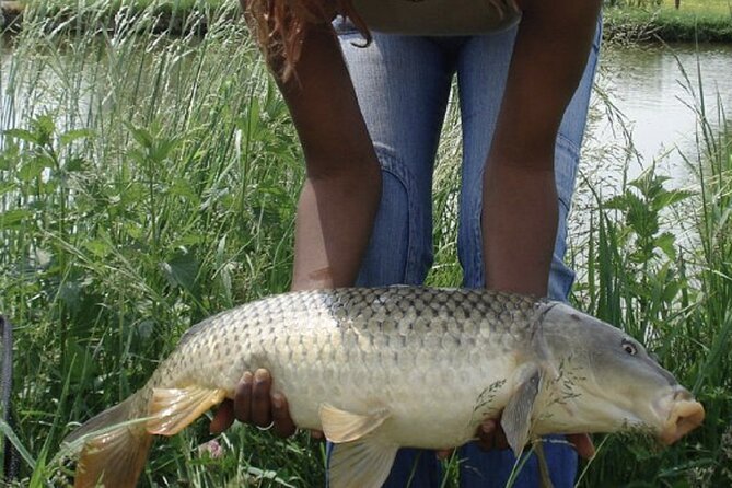 Introduction to fishing in Strasbourg - The 3-hour flow: what you’ll likely do from tram stop to fish handling