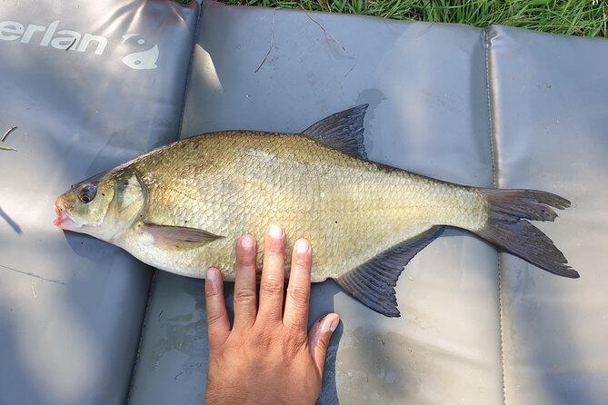Introduction to fishing in Strasbourg - Who this suits best (and who might find it less ideal)