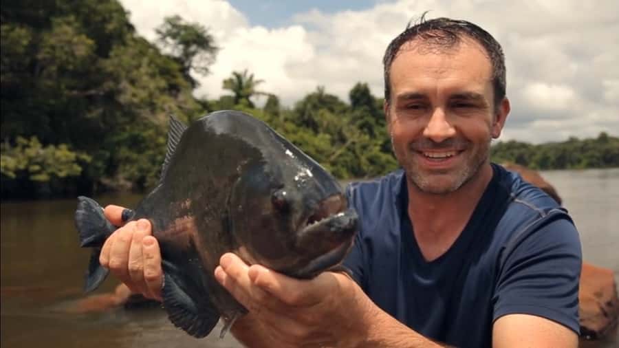 Iquitos: Piranha Fishing Experience in the Amazon jungle - Key highlights you’ll care about