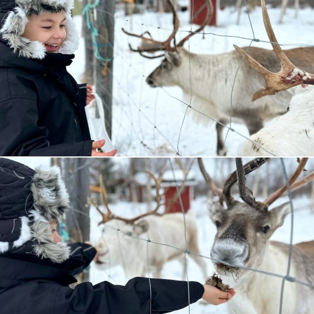 Ivalo: Ice Fishing Tour to Lake Inari, Reindeers & Lunch - Best-fit for your trip: who will enjoy this most