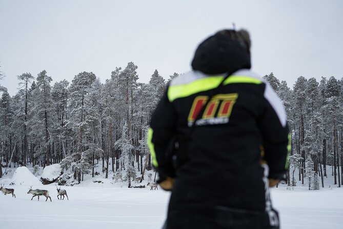 Ivalo: Reindeer herd and fishing experience - A 6-hour mix of reindeer herding and Finnish ice fishing