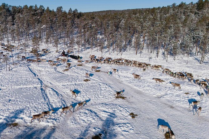 Ivalo: Reindeer herd and fishing experience - What to wear: the thermal suit and warm shoes are extra for a reason
