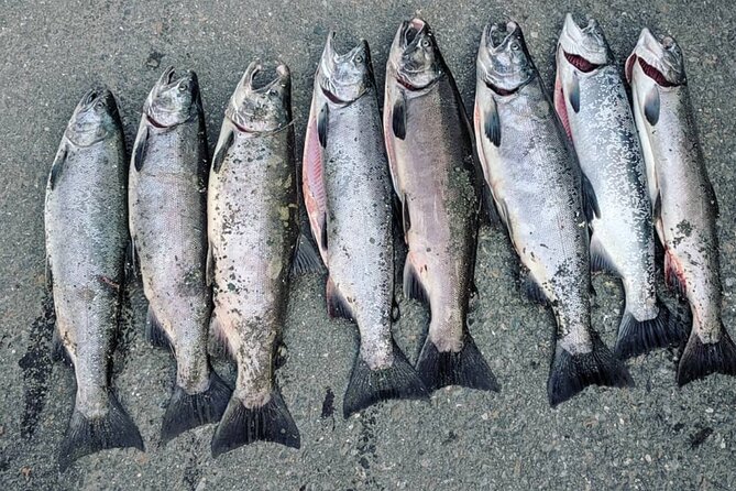Juneau Shore Fishing Shuttle and Gear - Weather-Proofing: Juneau Rain Can Change Your Whole Trip