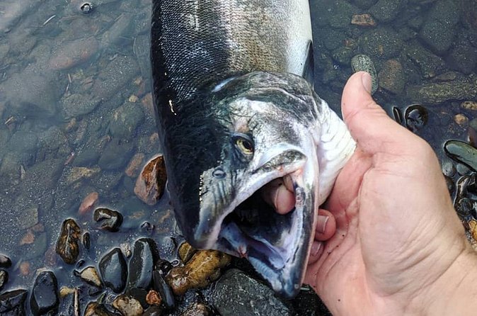 Juneau Shore Fishing Shuttle and Gear - Gear Notes That Affect Your Chances: Wader Fit, Lure Loss, and Snags