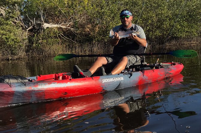 Kayak, paddle board, and fishing kayak rentals - Wildlife spotting: what to watch for and how to not miss it