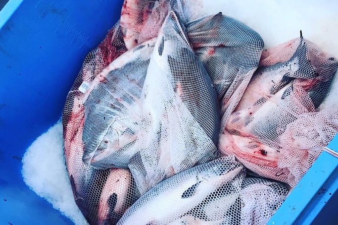 Ketchikan Fishing Charter - The fishing game plan: salmon, halibut, and lingcod targets