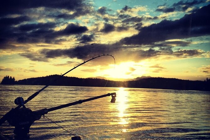 Ketchikan Fishing Charter (salmon) - Wildlife Moments You Might Share With the Water (Eagles and Orcas)