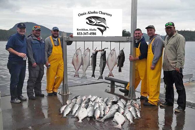 Ketchikan Salmon Fishing Charters - Wildlife chances: whales, seals, and the bubble-net moment