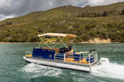 Knysna Lagoon Fishing Charter - Species Targets in the Lagoon: What You Can Actually Hope For