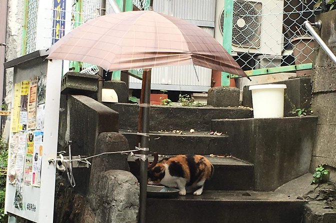 KOBE, SHIOYA, a quaint fishing town walking tour - Old Guggenheim House: a free hilltop stop with real architectural character