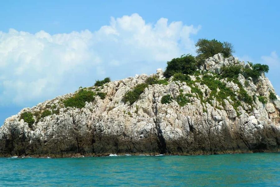 Koh Samui: Fishing Day Tour by Escort Boat with Mr. Tu - Key Things to Know Before You Go