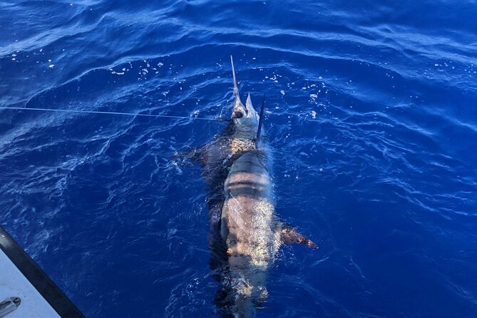Kona - 5 Hours Private Fishing Charter in Kailua-Kona - Full tackle and cooler drinks: the comfort you don’t notice until it’s missing
