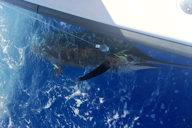 Kona - 5 Hours Private Fishing Charter in Kailua-Kona - How the fishing actually plays out: trolling for the one bite