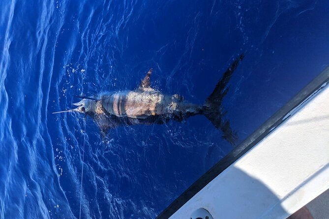 Kona - 6 Hour Private Fishing Charter Kona, Hawaii - What You’ll Catch (and What You Might Not)
