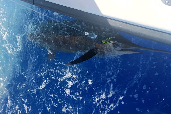 Kona - 8 Hour Private Fishing Charter in Kailua-Kona, Hawaii - Gear and Inclusions: All Tackle, No Guesswork