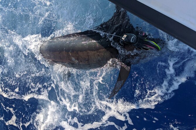 Kona - 8 Hour Private Fishing Charter in Kailua-Kona, Hawaii - Value and Price: Why Private Charters Cost What They Cost