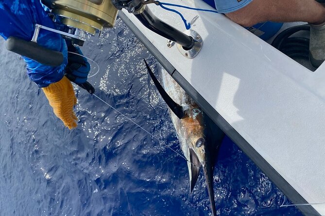Kona - 8 Hour Private Fishing Charter in Kailua-Kona, Hawaii - Weather, the Bite, and Your Expectations