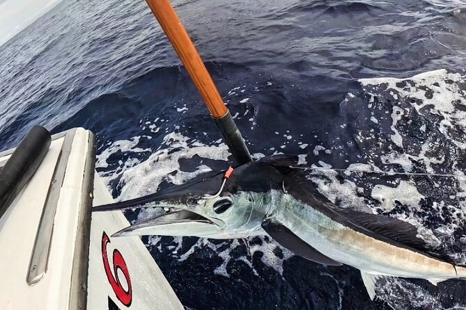 Kona Hawaii Deep Sea Fishing Escapade on the Bite Me 6 - When Your Group Wants More Than Just Marlin: Bottom Fishing Options