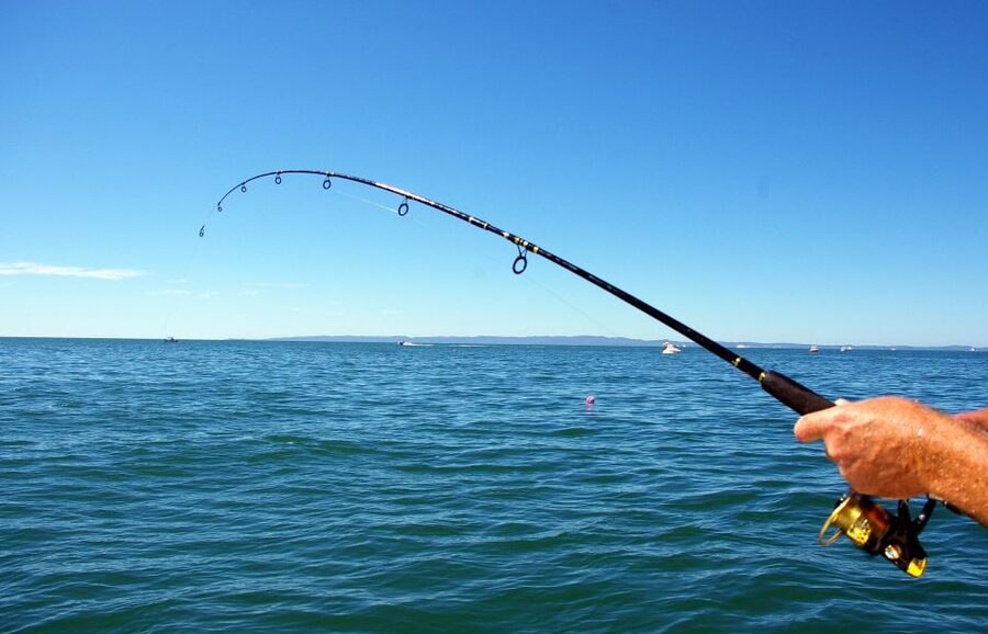 Kos: Fishing Trip Experience with a Greek Fisherman's Family - Key things you’ll notice right away