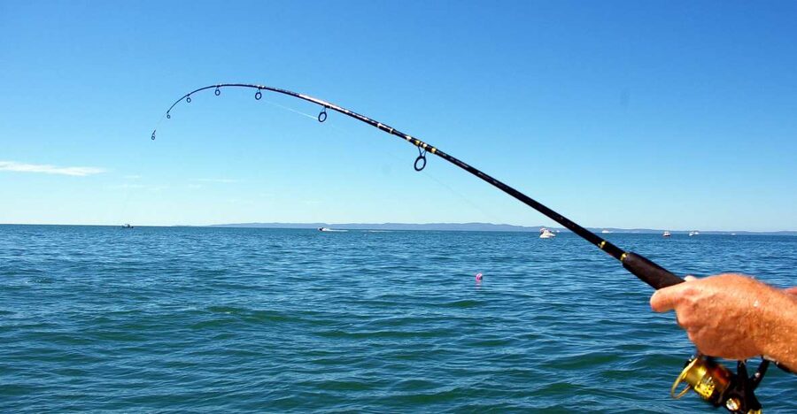 Kos: Fishing Trip Experience with a Greek Fisherman's Family - Meet at Dolphin Square and step aboard Agios Giorgios
