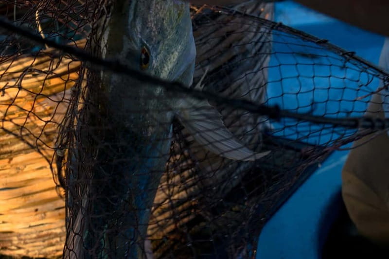 Kos, Greece: Fishing Trip Experience with Captain Tasos - Booking Smart: A Simple Checklist Before You Go
