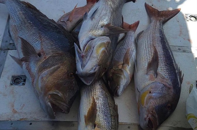 Kotor Private Fishing Adventure Blue Cave And Lunch - Price and Value for Up to 8 People