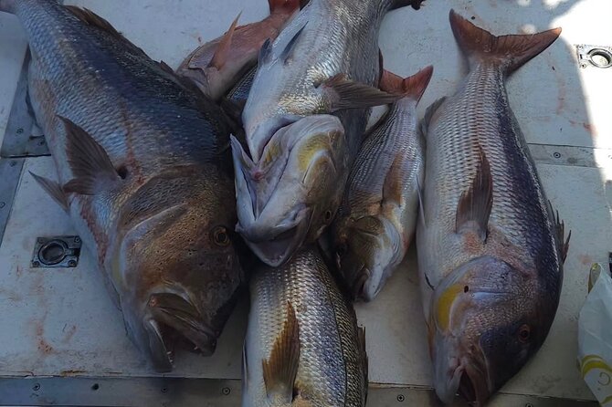 Kotor Private Fishing Adventure Blue Cave And Lunch - Should You Book This Kotor Private Fishing Adventure?
