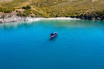 Lake Wakatipu: 3 Hour Fishing Adventure by Boat - Your 3-hour game plan: meeting at the jetty to lines-in-water fishing