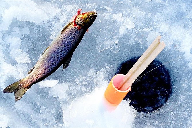 Lakeside Sauna Trip with Ice Fishing and Ice Swimming - Campfire BBQ Lunch: Lappish Bread, Salmon, Marshmallow, Blueberry Juice