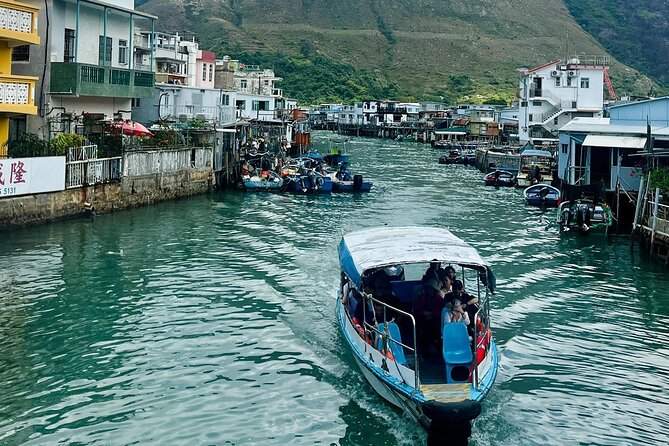 Lantau Group Tour: Dolphin Watching, Fishing Village & Cable Car - Pacing and practicalities: Walking, weather, and what can trip you up