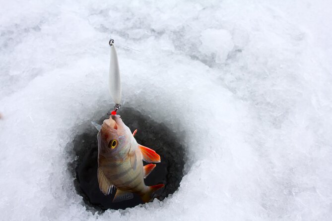 Lapland Ice Fishing Experience from Rovaniemi - Drilling through thick ice: what ice fishing actually looks like